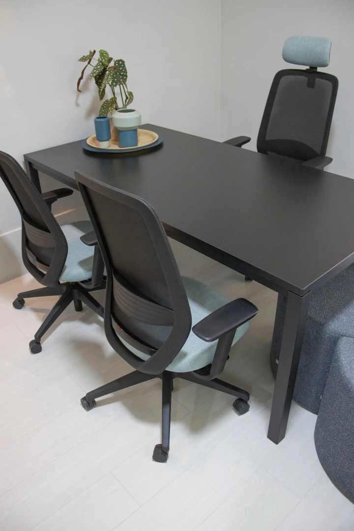 Cadeira Presidente | Briza